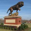 Lion ("Rex") by Jon D. Hair 
Queens Univ. Athletic Complex Tyvola Rd.
